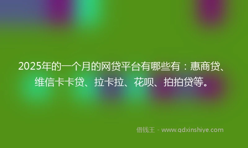 2025年的一个月的网贷平台有哪些有：惠商贷、维信卡卡贷、拉卡拉、花呗、拍拍贷等。