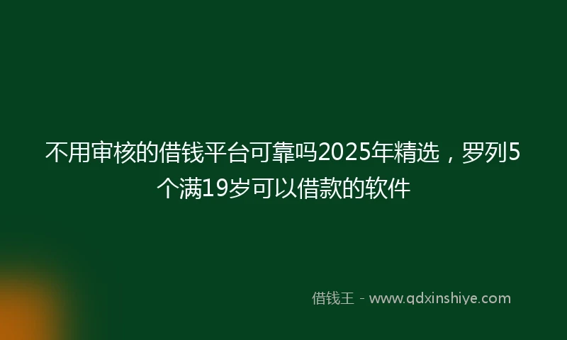不用审核的借钱平台可靠吗2025年精选，罗列5个满19岁可以借款的软件