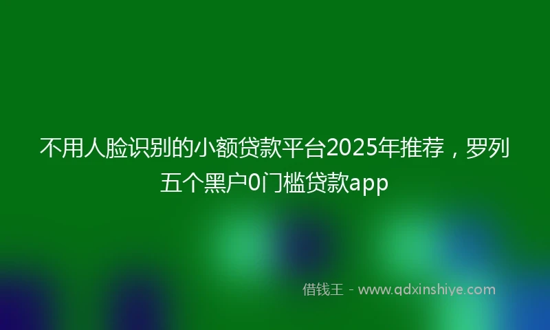 不用人脸识别的小额贷款平台2025年推荐，罗列五个黑户0门槛贷款app