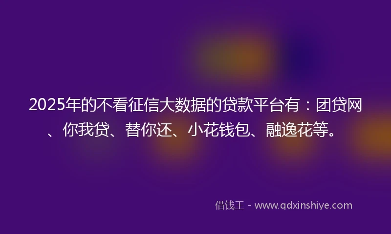2025年的不看征信大数据的贷款平台有：团贷网、你我贷、替你还、小花钱包、融逸花等。