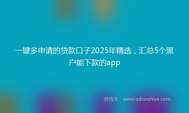 一键多申请的贷款口子2025年精选，汇总5个黑户能下款的app