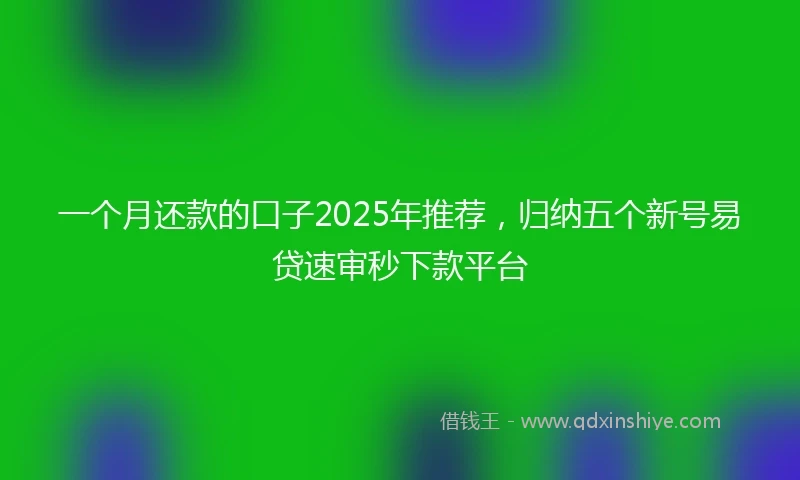 一个月还款的口子2025年推荐，归纳五个新号易贷速审秒下款平台