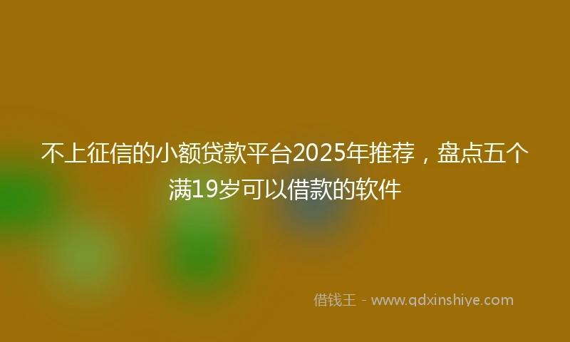 不上征信的小额贷款平台2025年推荐,盘点五个满19岁可以借款的软件