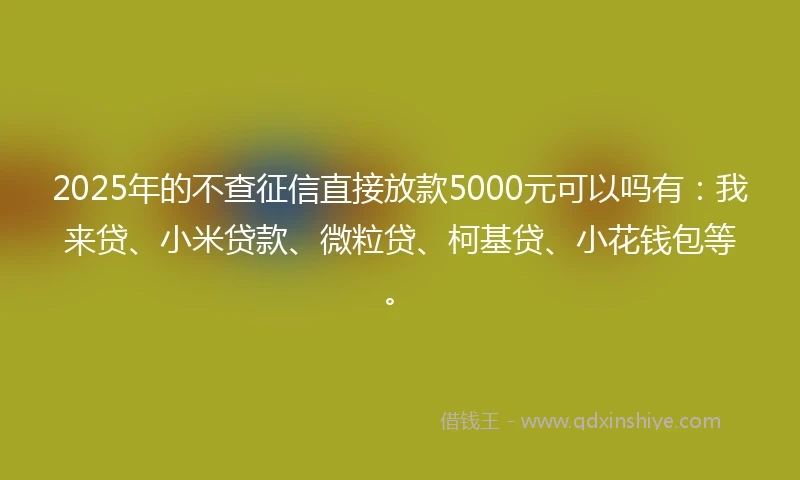 2025年的不查征信直接放款5000元可以吗有：我来贷、小米贷款、微粒贷、柯基贷、小花钱包等。