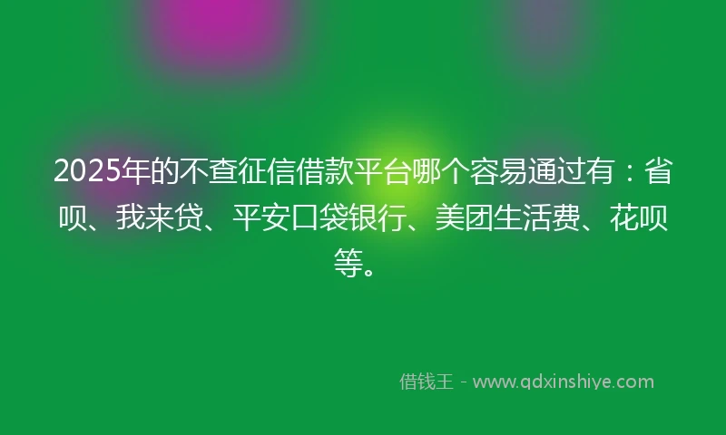 2025年的不查征信借款平台哪个容易通过有：省呗、我来贷、平安口袋银行、美团生活费、花呗等。