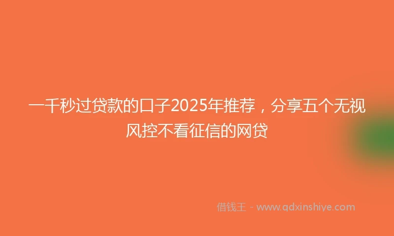 一千秒过贷款的口子2025年推荐，分享五个无视风控不看征信的网贷