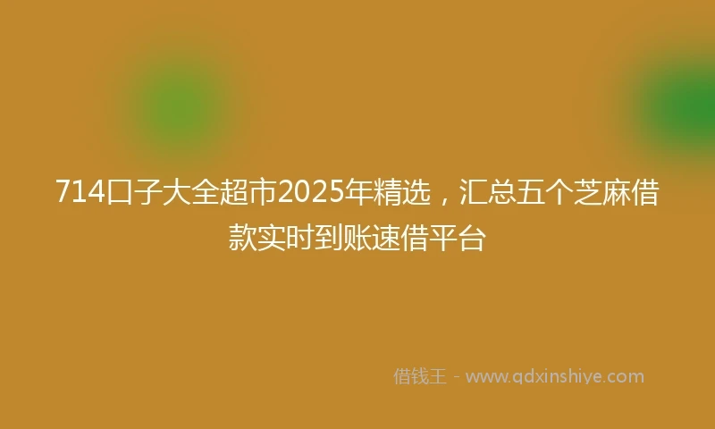 714口子大全超市2025年精选，汇总五个芝麻借款实时到账速借平台