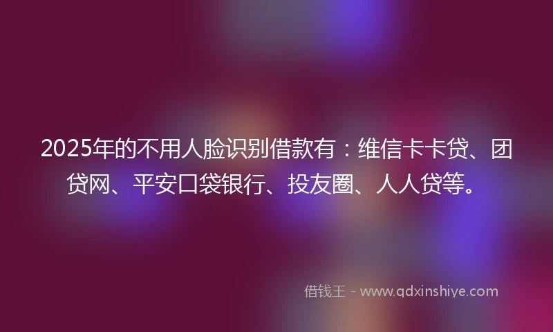 2025年的不用人脸识别借款有：维信卡卡贷、团贷网、平安口袋银行、投友圈、人人贷等。