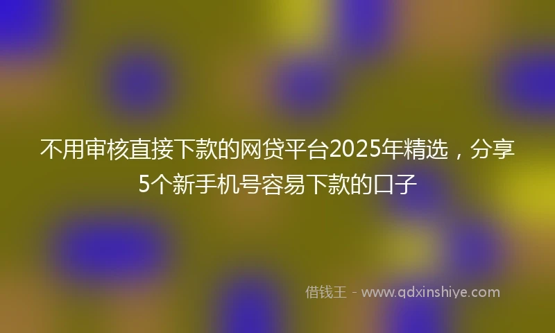 不用审核直接下款的网贷平台2025年精选，分享5个新手机号容易下款的口子