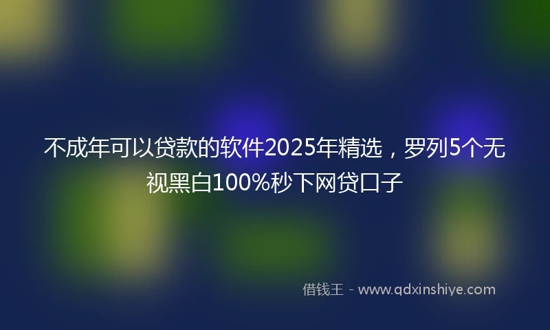 不成年可以贷款的软件2025年精选，罗列5个无视黑白100%秒下网贷口子