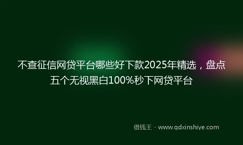 不查征信网贷平台哪些好下款2025年精选，盘点五个无视黑白100%秒下网贷平台