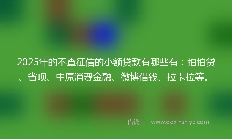 2025年的不查征信的小额贷款有哪些有：拍拍贷、省呗、中原消费金融、微博借钱、拉卡拉等。