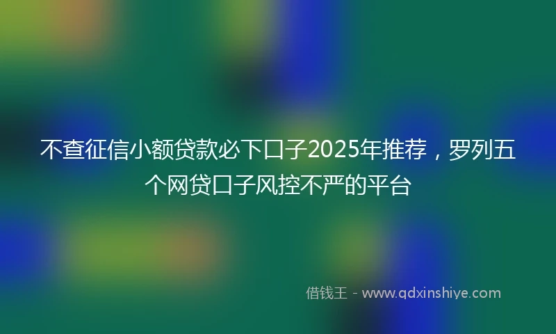 不查征信小额贷款必下口子2025年推荐，罗列五个网贷口子风控不严的平台