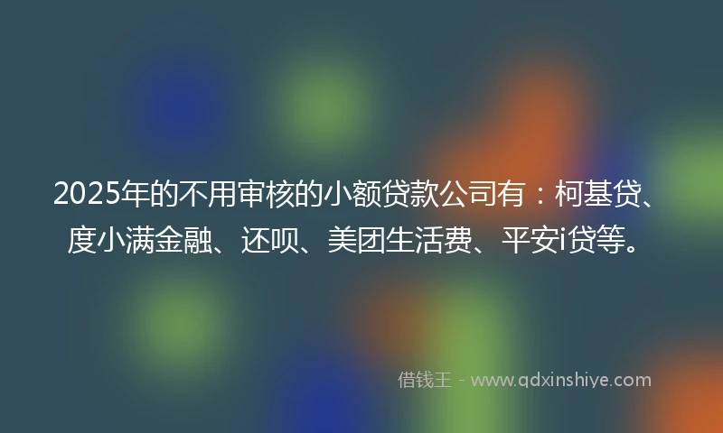 2025年的不用审核的小额贷款公司有：柯基贷、度小满金融、还呗、美团生活费、平安i贷等。