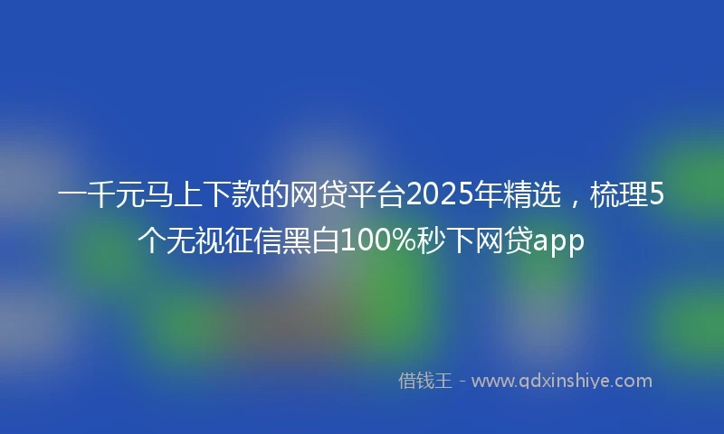 一千元马上下款的网贷平台2025年精选，梳理5个无视征信黑白100%秒下网贷app