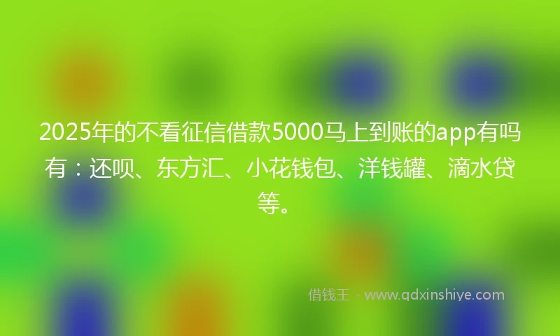 2025年的不看征信借款5000马上到账的app有吗有：还呗、东方汇、小花钱包、洋钱罐、滴水贷等。