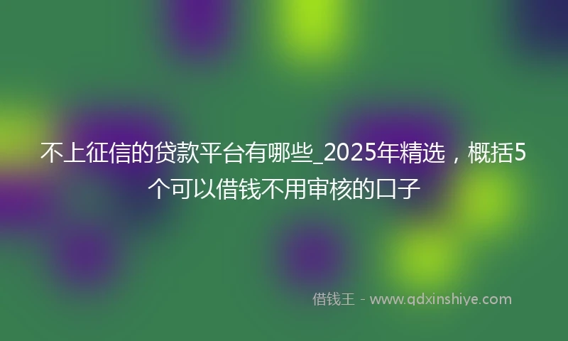 不上征信的贷款平台有哪些_2025年精选，概括5个可以借钱不用审核的口子