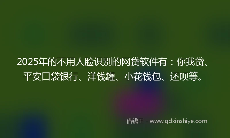 2025年的不用人脸识别的网贷软件有：你我贷、平安口袋银行、洋钱罐、小花钱包、还呗等。