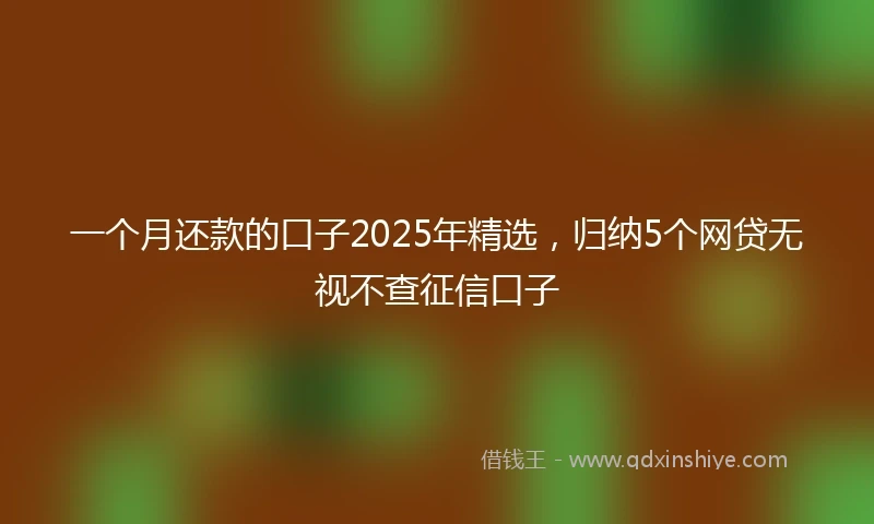 一个月还款的口子2025年精选，归纳5个网贷无视不查征信口子