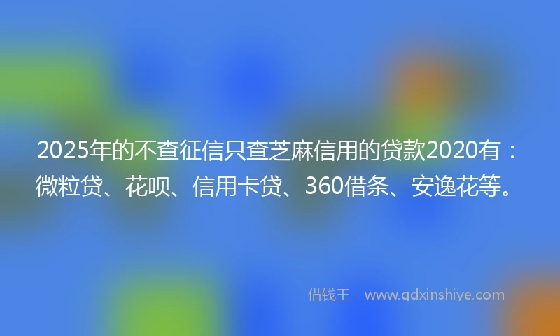 2025年的不查征信只查芝麻信用的贷款2020有：微粒贷、花呗、信用卡贷、360借条、安逸花等。