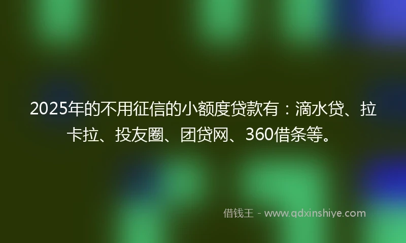 2025年的不用征信的小额度贷款有：滴水贷、拉卡拉、投友圈、团贷网、360借条等。