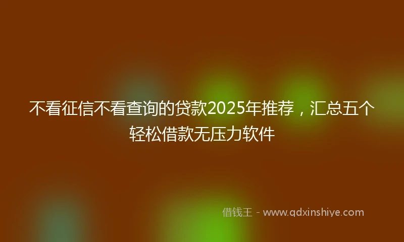 不看征信不看查询的贷款2025年推荐，汇总五个轻松借款无压力软件