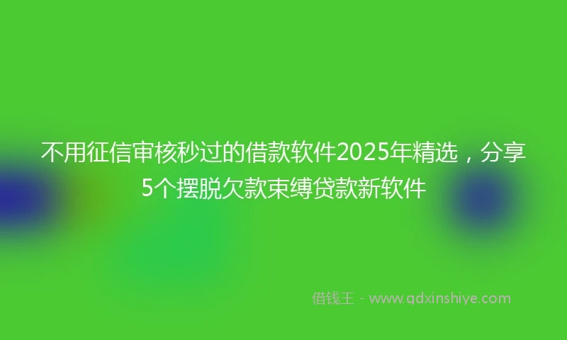 不用征信审核秒过的借款软件2025年精选，分享5个摆脱欠款束缚贷款新软件