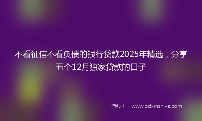 不看征信不看负债的银行贷款2025年精选，分享五个12月独家贷款的口子