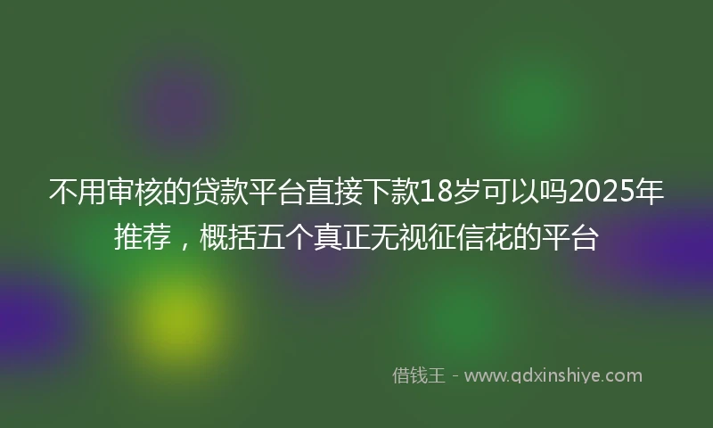 不用审核的贷款平台直接下款18岁可以吗2025年推荐，概括五个真正无视征信花的平台