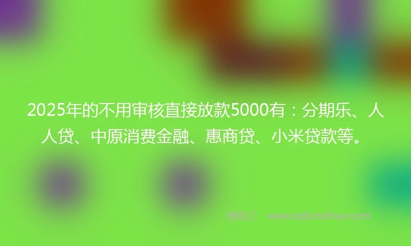 2025年的不用审核直接放款5000有：分期乐、人人贷、中原消费金融、惠商贷、小米贷款等。