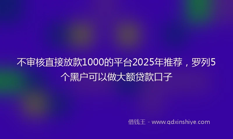 不审核直接放款1000的平台2025年推荐，罗列5个黑户可以做大额贷款口子