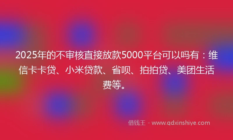 2025年的不审核直接放款5000平台可以吗有：维信卡卡贷、小米贷款、省呗、拍拍贷、美团生活费等。
