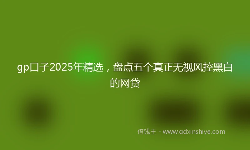 gp口子2025年精选，盘点五个真正无视风控黑白的网贷