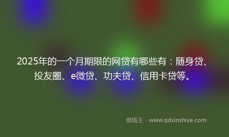 2025年的一个月期限的网贷有哪些有：随身贷、投友圈、e微贷、功夫贷、信用卡贷等。
