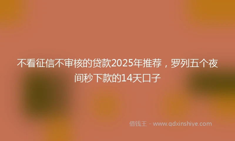 不看征信不审核的贷款2025年推荐，罗列五个夜间秒下款的14天口子