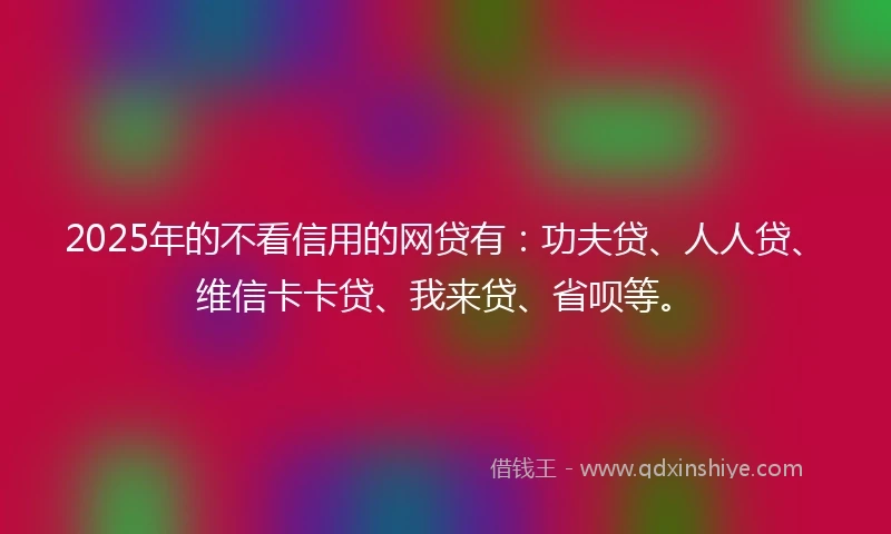2025年的不看信用的网贷有：功夫贷、人人贷、维信卡卡贷、我来贷、省呗等。