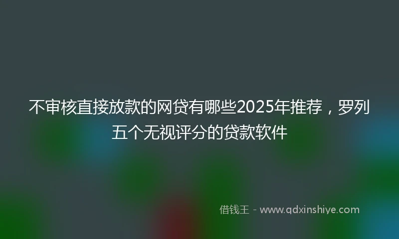 不审核直接放款的网贷有哪些2025年推荐,罗列五个无视评分的贷款软件