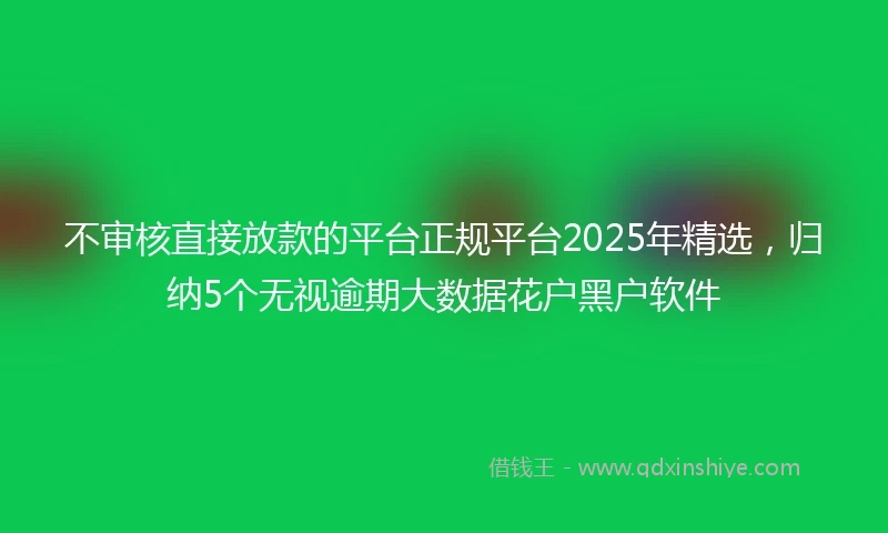 不审核直接放款的平台正规平台2025年精选，归纳5个无视逾期大数据花户黑户软件