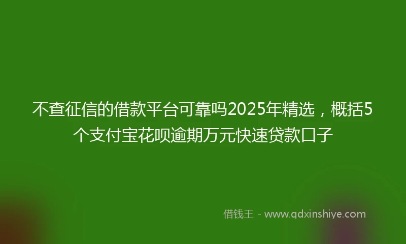 不查征信的借款平台可靠吗2025年精选，概括5个支付宝花呗逾期万元快速贷款口子