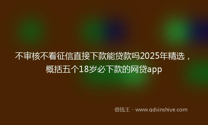不审核不看征信直接下款能贷款吗2025年精选，概括五个18岁必下款的网贷app