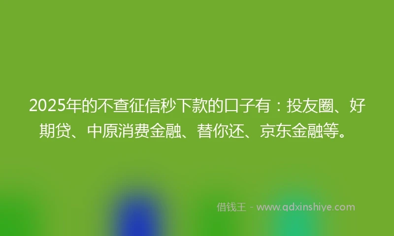 2025年的不查征信秒下款的口子有：投友圈、好期贷、中原消费金融、替你还、京东金融等。