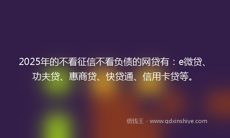 2025年的不看征信不看负债的网贷有：e微贷、功夫贷、惠商贷、快贷通、信用卡贷等。