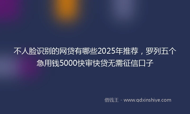 不人脸识别的网贷有哪些2025年推荐，罗列五个急用钱5000快审快贷无需征信口子