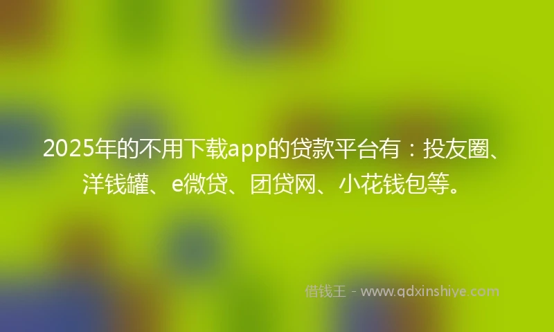 2025年的不用下载app的贷款平台有：投友圈、洋钱罐、e微贷、团贷网、小花钱包等。