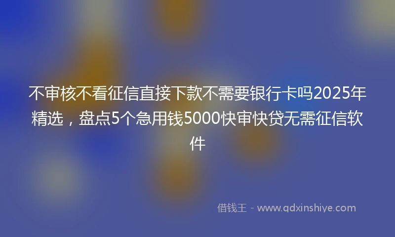 不审核不看征信直接下款不需要银行卡吗2025年精选，盘点5个急用钱5000快审快贷无需征信软件