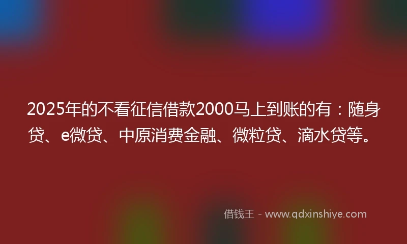 2025年的不看征信借款2000马上到账的有：随身贷、e微贷、中原消费金融、微粒贷、滴水贷等。