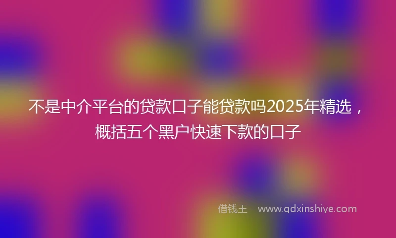 不是中介平台的贷款口子能贷款吗2025年精选，概括五个黑户快速下款的口子