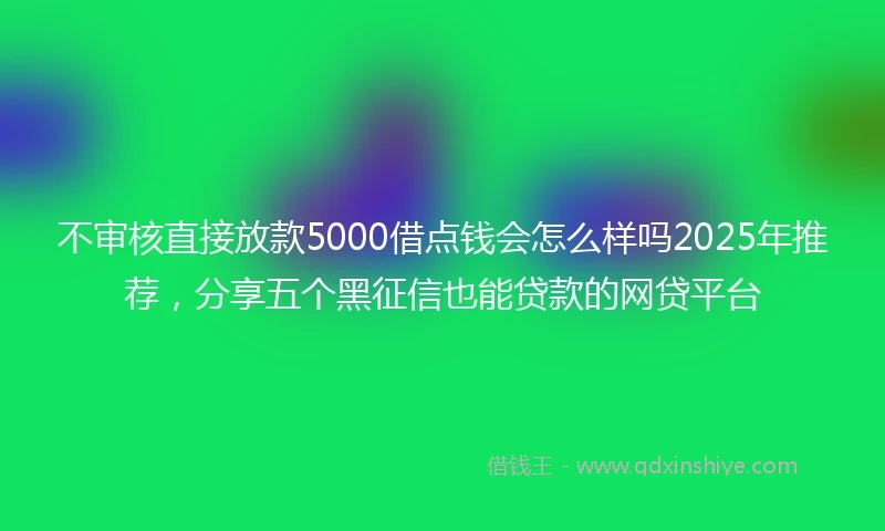 不审核直接放款5000借点钱会怎么样吗2025年推荐，分享五个黑征信也能贷款的网贷平台