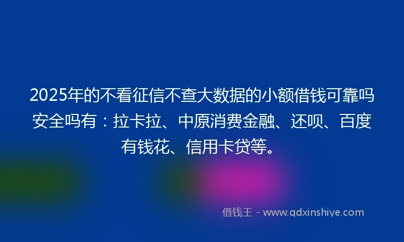 2025年的不看征信不查大数据的小额借钱可靠吗安全吗有：拉卡拉、中原消费金融、还呗、百度有钱花、信用卡贷等。