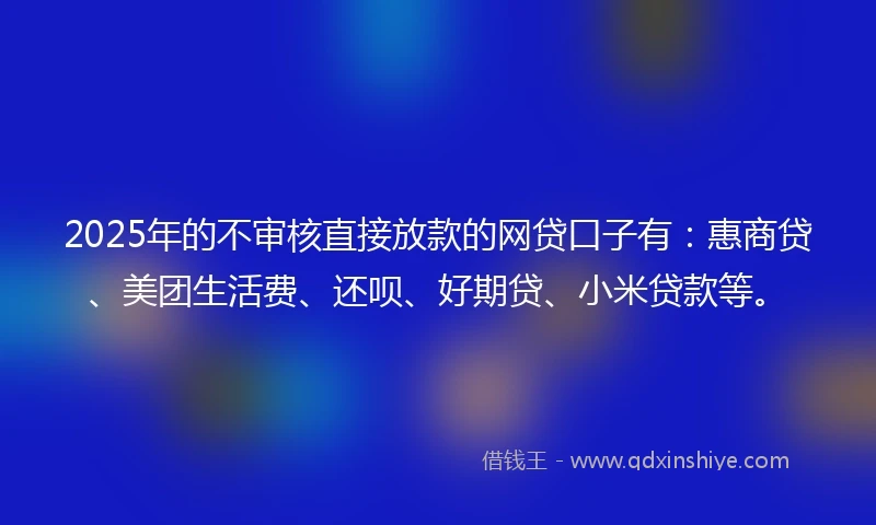2025年的不审核直接放款的网贷口子有：惠商贷、美团生活费、还呗、好期贷、小米贷款等。